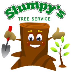Stumpy's logo