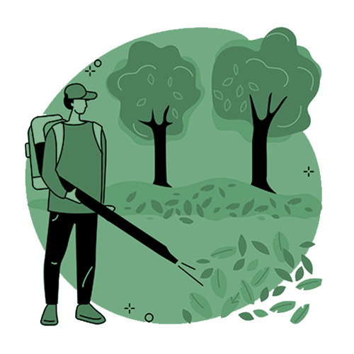 Yard Cleanup