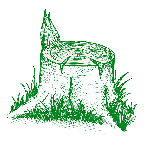 stump removal